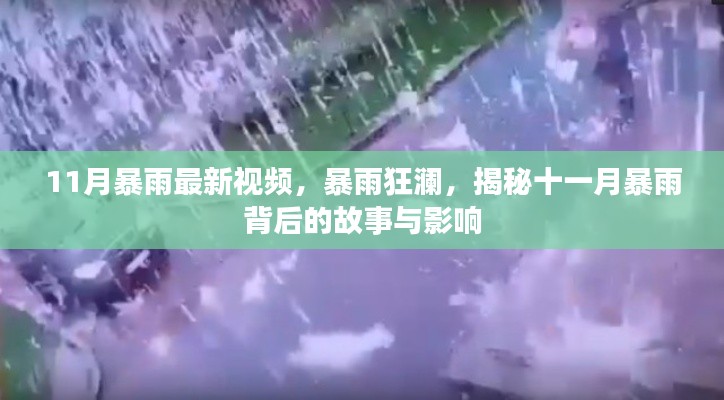 揭秘十一月暴雨背后的故事与影响,暴雨狂澜最新视频报道