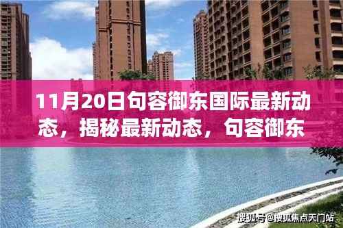 句容御东国际11月20日最新进展报告，揭秘行动中的新动态