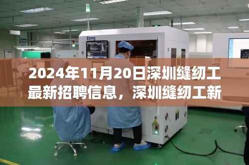 花开无言 第17页