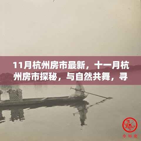 十一月杭州房市最新动态,与自然共舞,探寻内心宁静的居所