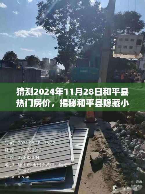 揭秘和平县隐藏小巷特色小店，预测未来房价走势与价值高地探索之旅！