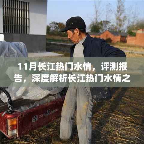 深度解析,长江热门水情十一月特性与体验评测报告