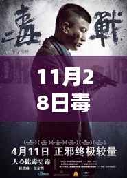 11月28日毒战最新动态与温馨奇遇