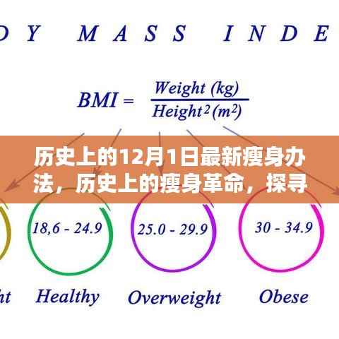 探寻瘦身革命,历史上的瘦身办法源头与最新影响——以十二月一日为起点