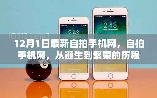 自拍手机网历程回顾,从诞生到繁荣的繁荣之路(12月1日最新自拍手机网)