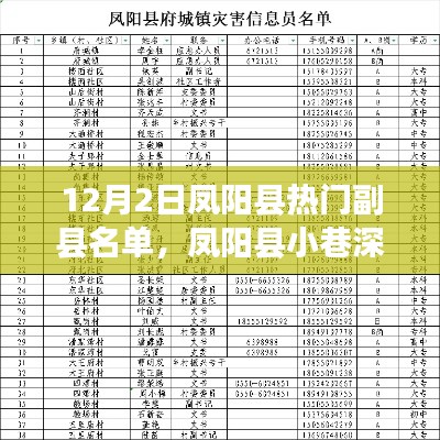凤阳县副县名单揭秘，小巷深处的特色小店与热门人物盘点