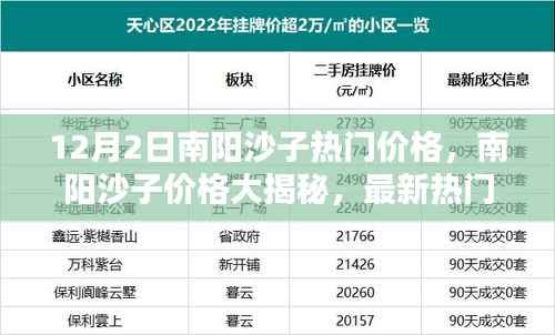 南阳沙子最新热门价格揭秘,12月2日报价大放送
