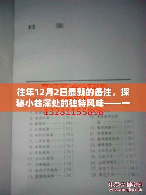 探秘小巷深处的独特风味,一家隐藏版特色小店揭秘其秘密生活