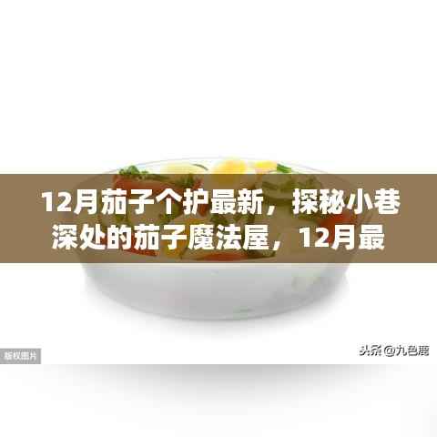 揭秘十二月的茄子护肤秘密,探秘小巷深处的魔法屋,最新茄子个护指南