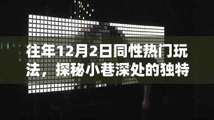 往年12月2日同性热门玩法,小巷深处的独特体验与隐藏小店的奇遇