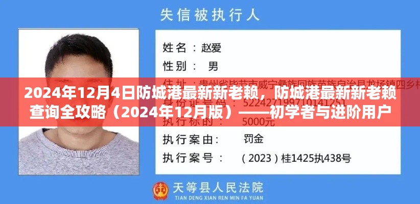 防城港最新新老赖查询指南(2024年12月版),从初学者到进阶用户全面攻略