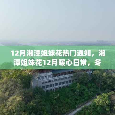 湘潭姐妹花暖心日常,十二月趣事与深厚友情的纽带