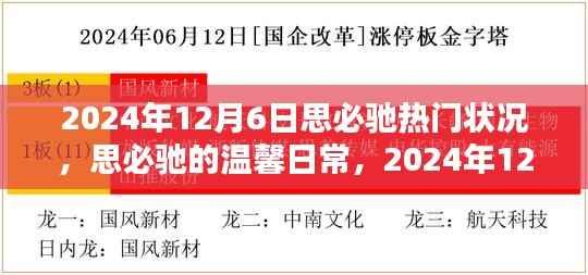 思必驰温馨日常，揭秘2024年12月6日的奇妙时光