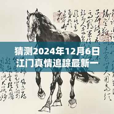 2024年12月6日江门真情追踪最新一集预测与探讨，未来发展及社会影响分析