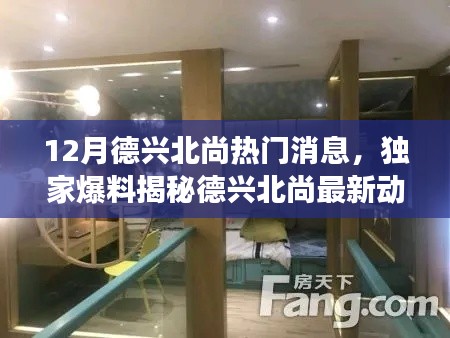 独家爆料,德兴北尚十二月最新动态揭秘,震撼消息一网打尽!