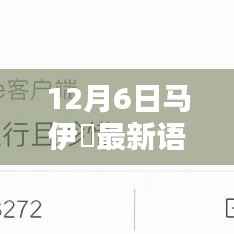 12月6日马伊琍最新语录,深度解读与介绍