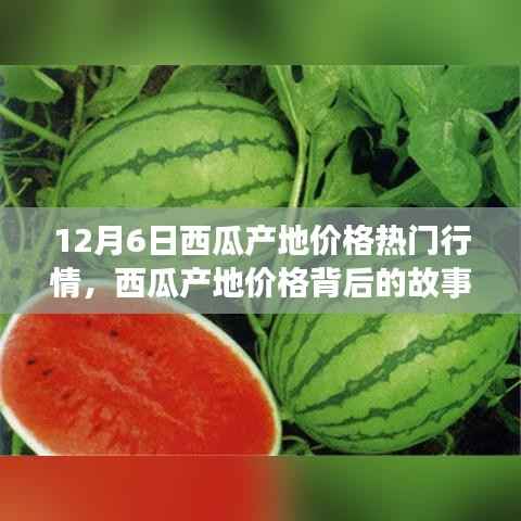 12月6日西瓜产地价格深度解析,变化的力量与自信的种子