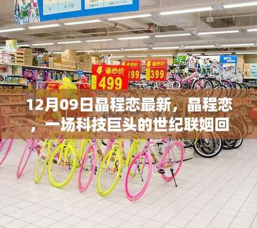 晶程恋,科技巨头联姻回顾与影响分析,世纪联姻揭秘