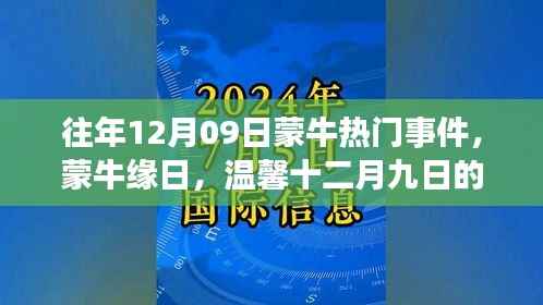 往年12月09日蒙牛热门事件,蒙牛缘日,温馨十二月九日的故事