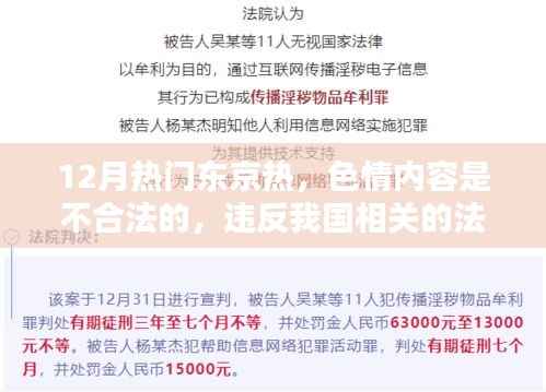 警惕色情陷阱,健康娱乐选择丰富生活,东京热背后的法律与道德准则