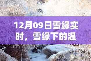 雪缘下的温馨日常,12月9日的欢乐时光
