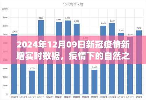 疫情下的自然之旅,启程于2024年12月09日的宁静之旅与实时疫情数据