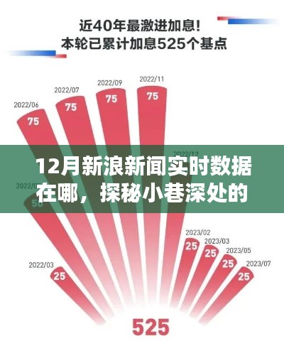 探秘小巷深处的新闻宝藏,揭秘12月新浪新闻实时数据秘密据点