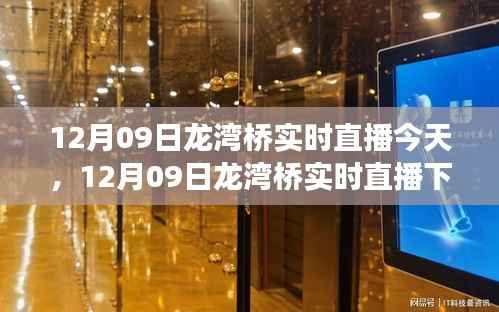 12月09日龙湾桥直播,城市发展与交通状况实时探讨