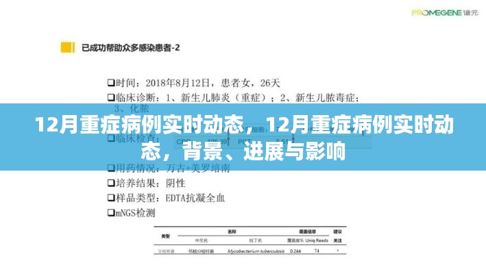 12月重症病例实时动态,背景、进展与影响全解析