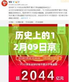 历史上的京东快递,励志故事背后的实时定位查询与自信成就之光燃起之路