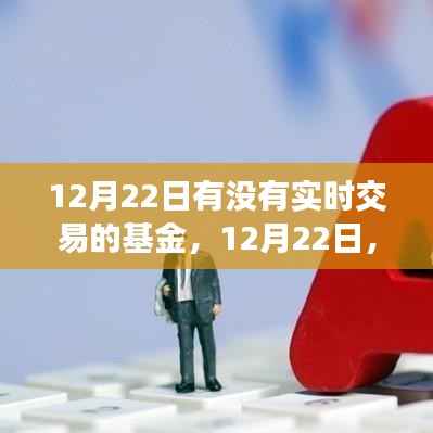 12月22日实时交易基金之旅,探索自然美景,追寻内心平和的宁静之旅