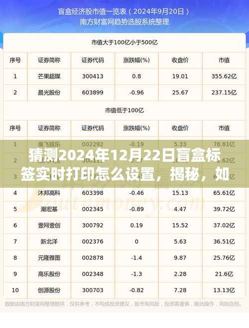 揭秘,如何设置盲盒标签实时打印系统——以未来日期为例(2024年12月22日操作指南)