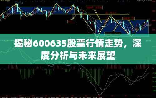 揭秘600635股票行情走势,深度分析与未来展望