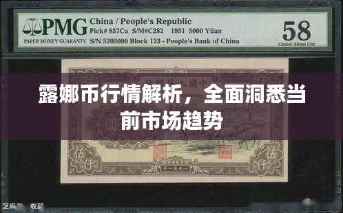 露娜币行情解析，全面洞悉当前市场趋势