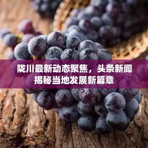 陇川最新动态聚焦,头条新闻揭秘当地发展新篇章