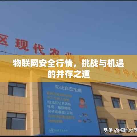 物联网安全行情,挑战与机遇的并存之道