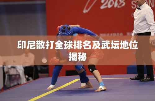 印尼散打全球排名及武坛地位揭秘