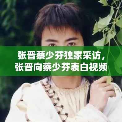 张晋蔡少芬独家采访,张晋向蔡少芬表白视频