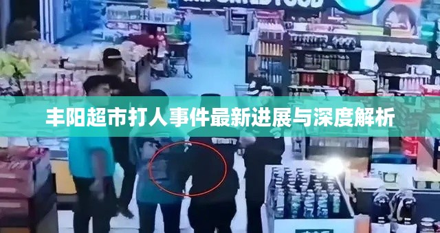 丰阳超市打人事件最新进展与深度解析