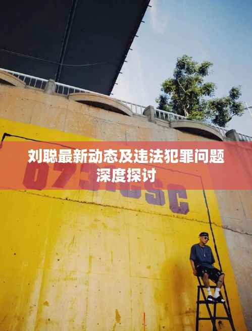 刘聪最新动态及违法犯罪问题深度探讨