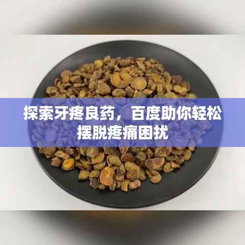 探索牙疼良药,百度助你轻松摆脱疼痛困扰