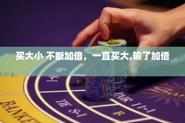 买大小 不断加倍，一直买大,输了加倍 
