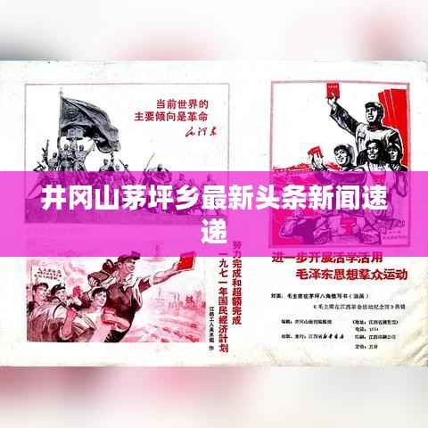 井冈山茅坪乡最新头条新闻速递