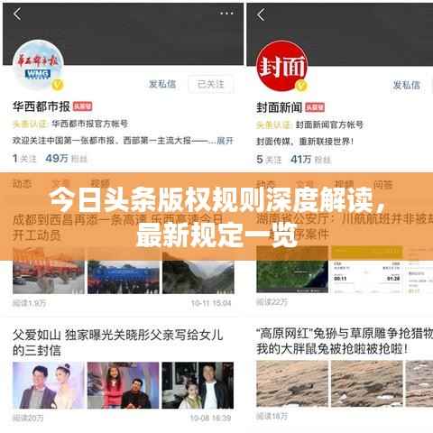今日头条版权规则深度解读，最新规定一览