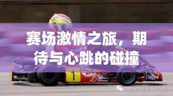 赛场激情之旅,期待与心跳的碰撞