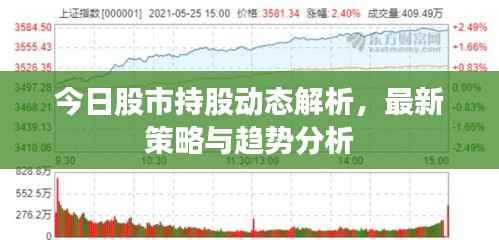 今日股市持股动态解析,最新策略与趋势分析