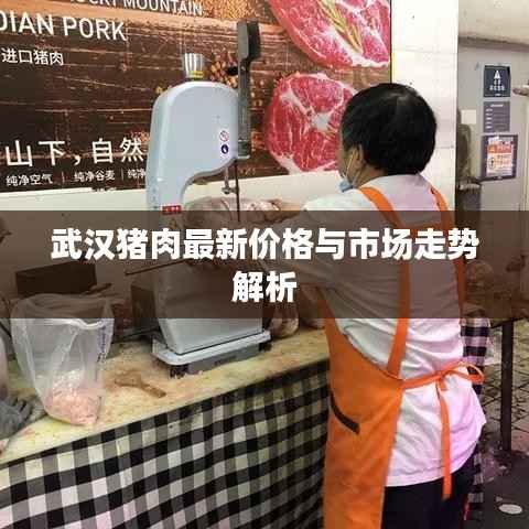 武汉猪肉最新价格与市场走势解析