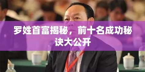 罗姓首富揭秘,前十名成功秘诀大公开