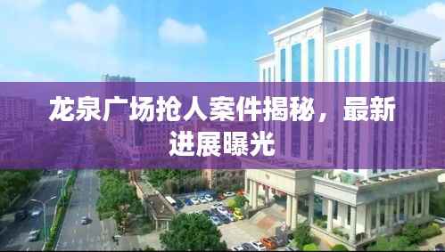 龙泉广场抢人案件揭秘，最新进展曝光