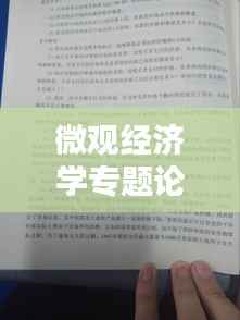 微观经济学专题论述题型,微观经济学期末考试论述题
